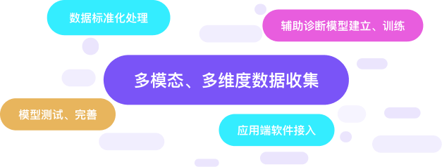 section5